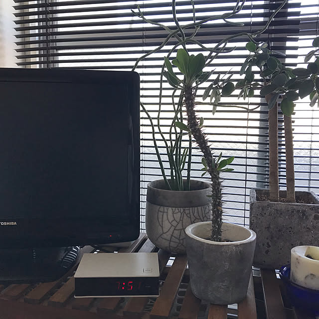 salahhalさんの実例写真