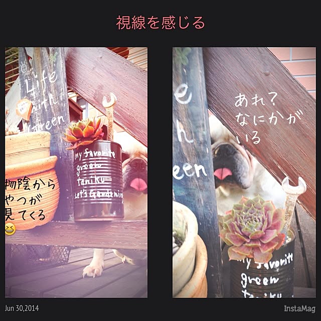 38coreさんの実例写真
