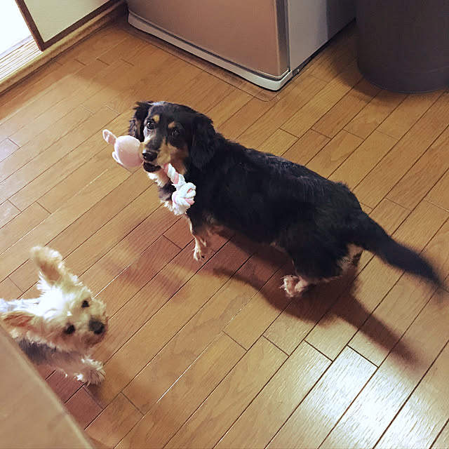 ohanaさんの実例写真