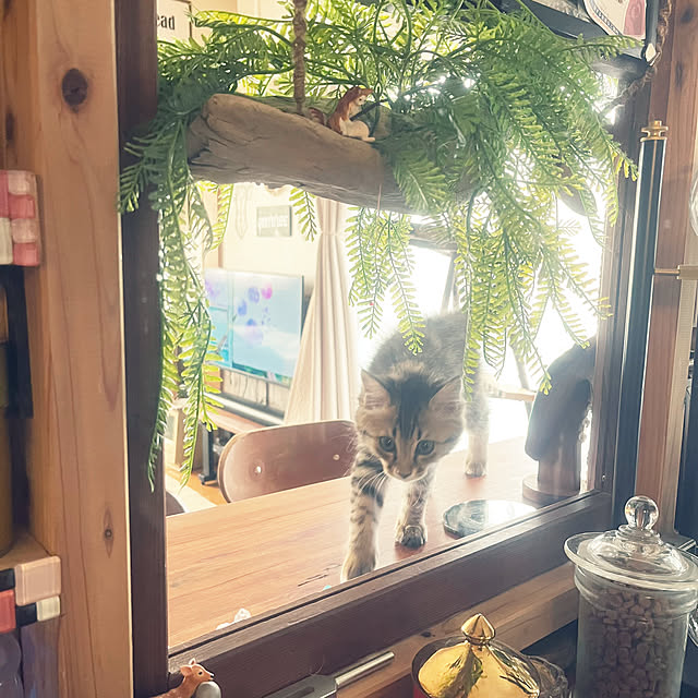 Mさんの実例写真