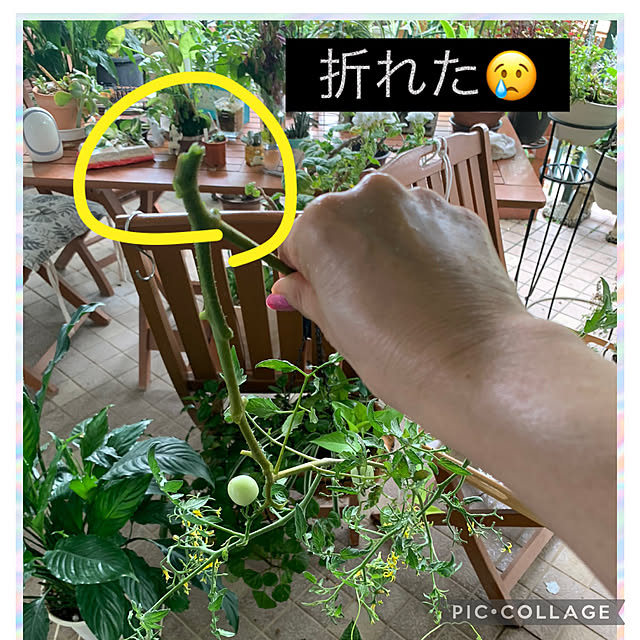 Aqettyさんの実例写真