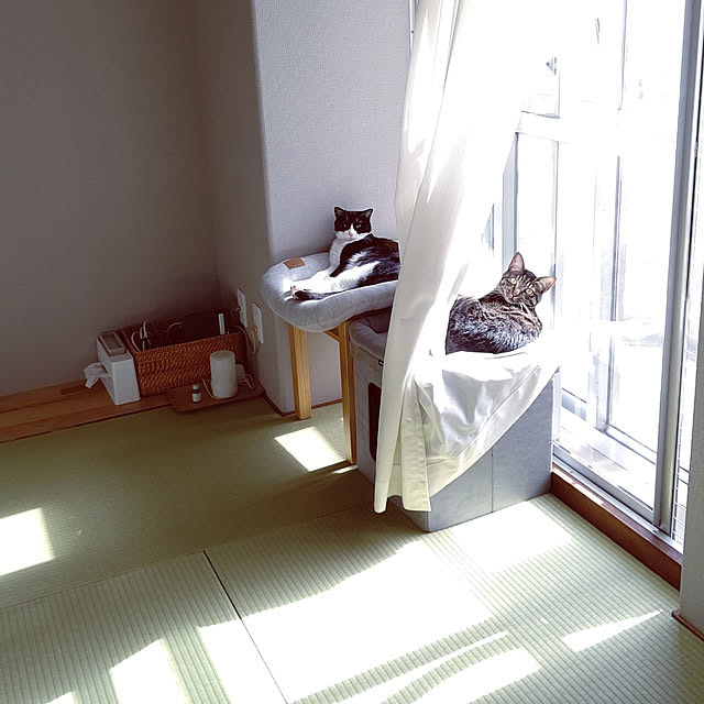 hihaさんの実例写真