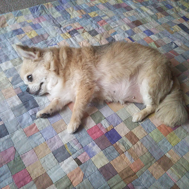 kiraさんの実例写真