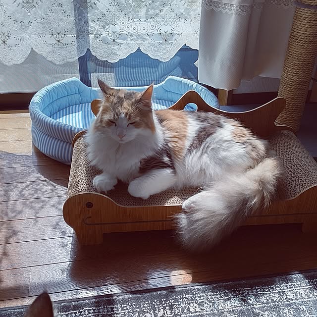 +CHIHARU+さんの実例写真