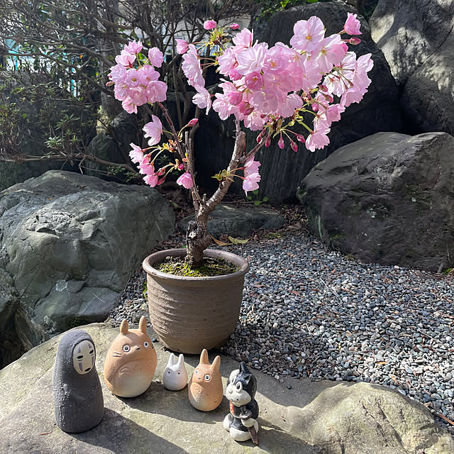shin0719さんの実例写真