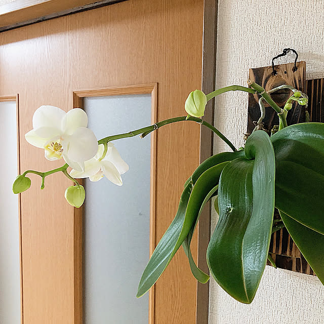 kyoko1124koさんの部屋