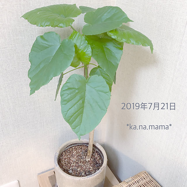 ka.na.mamaさんの実例写真