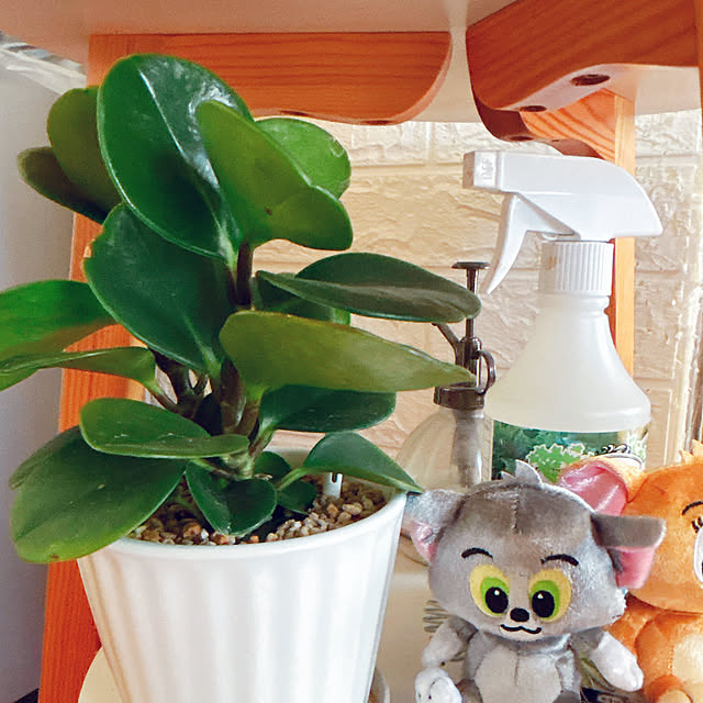 moolさんの部屋