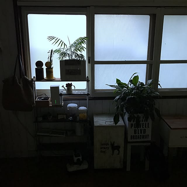 seroriさんの実例写真
