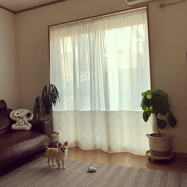 umiさんの実例写真
