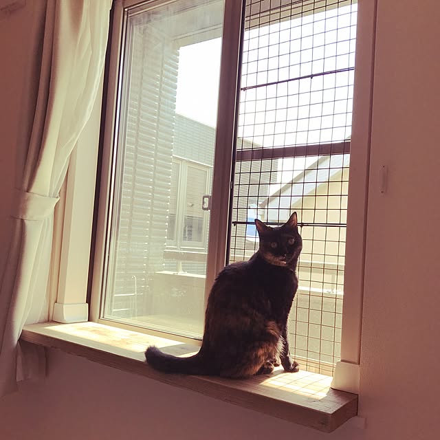 harubekoさんの実例写真