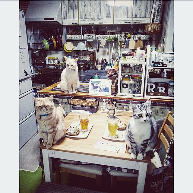 mntcさんの実例写真