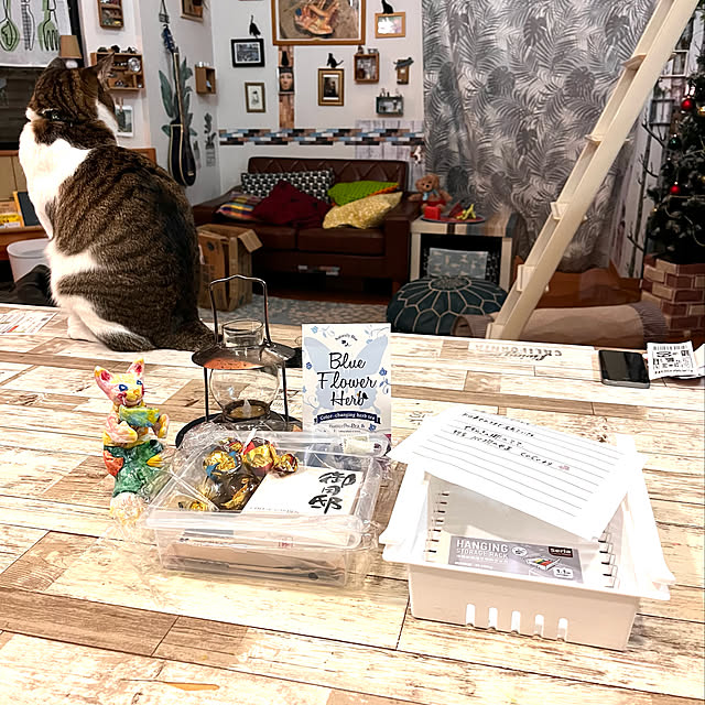 jijiさんの実例写真