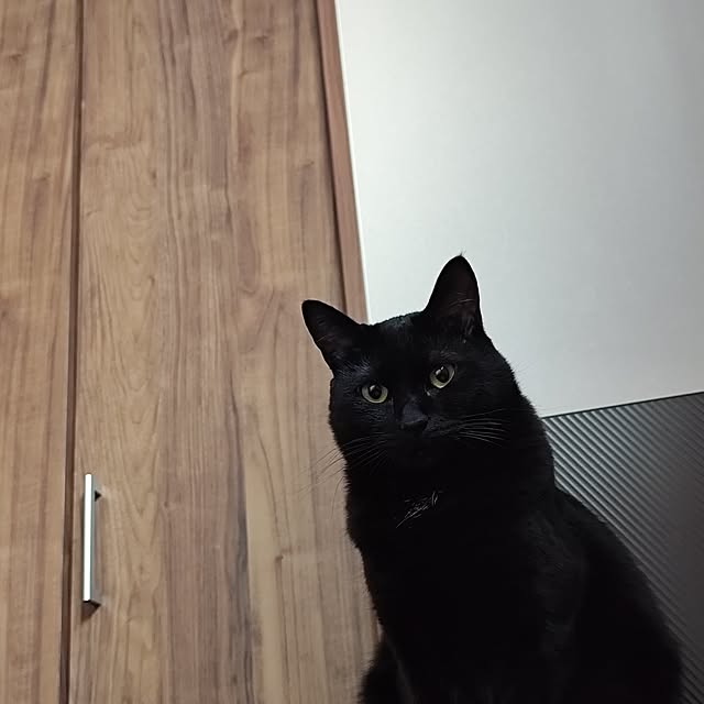 zm3443さんの実例写真