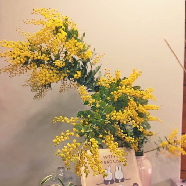 hisaさんの実例写真