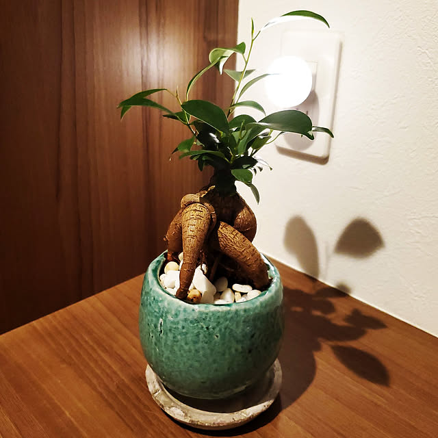 cocomamaさんの実例写真