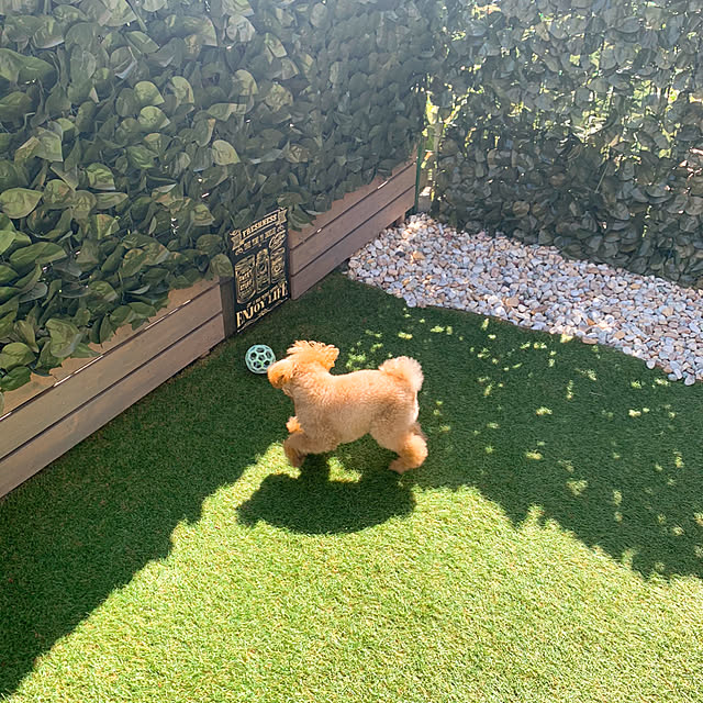 Samさんの実例写真
