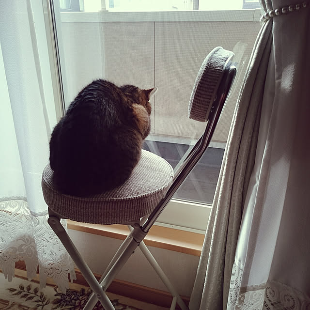 lilyさんの実例写真