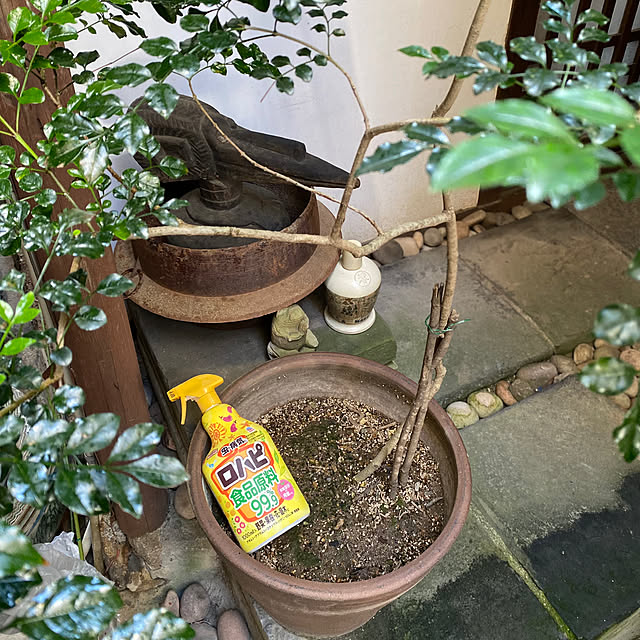 mukuさんの実例写真