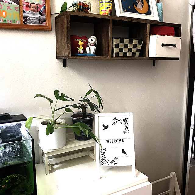 Satoshiさんの実例写真