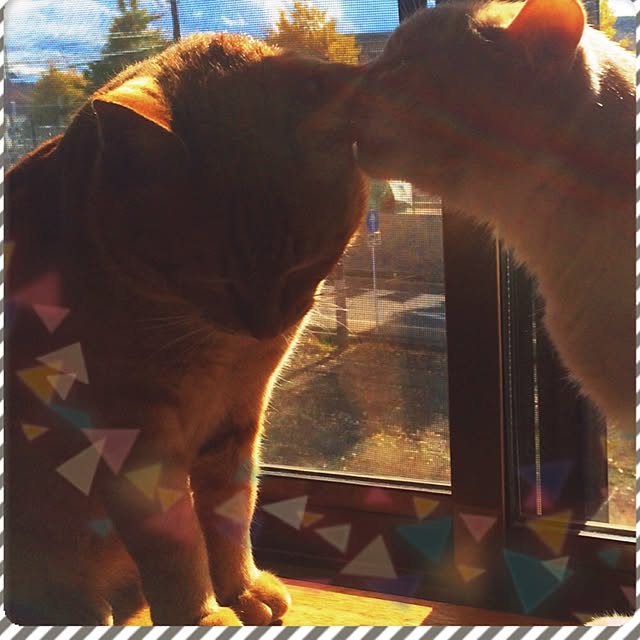 em.chiさんの実例写真