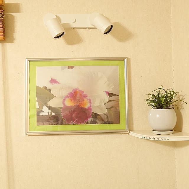 merirynさんの部屋