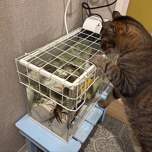 mikomaruさんの部屋