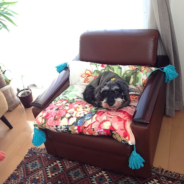 mojyaさんの実例写真