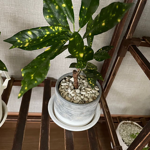 ikuzakさんの部屋