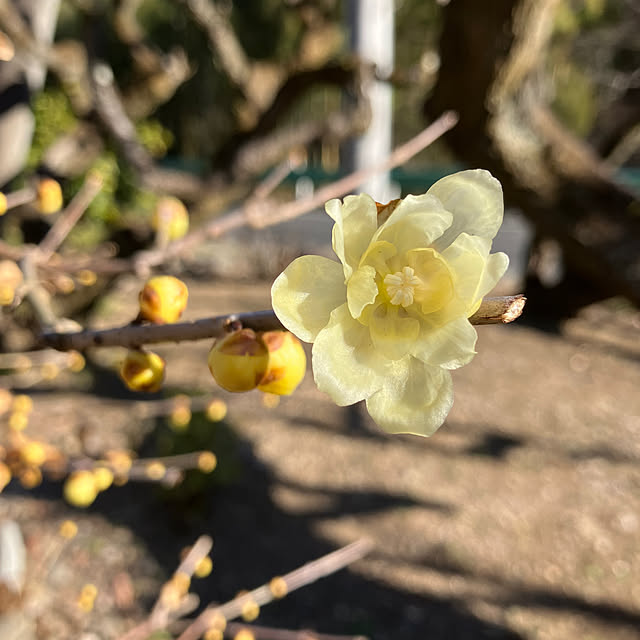 ikubooさんの部屋