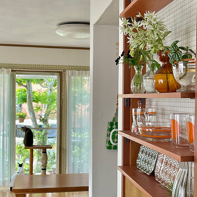 nobikoさんの部屋