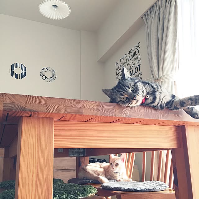 hiyupan88さんの実例写真