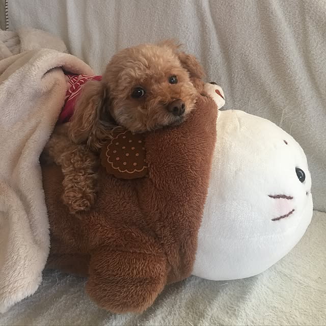 RURULOVEさんの実例写真