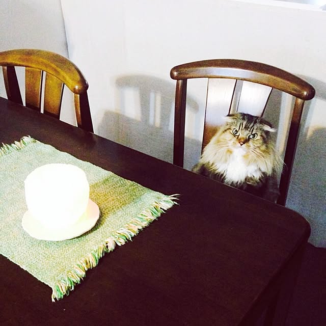 Y.Mさんの実例写真