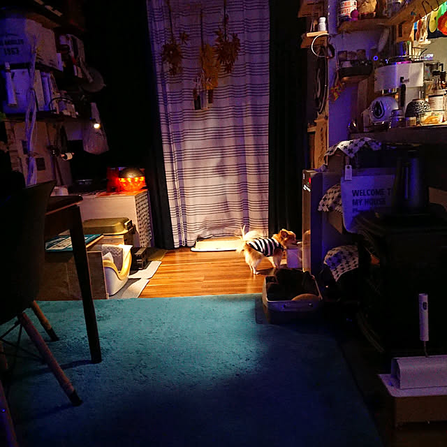 porinさんの実例写真