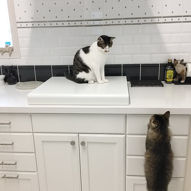 yuchiさんの実例写真