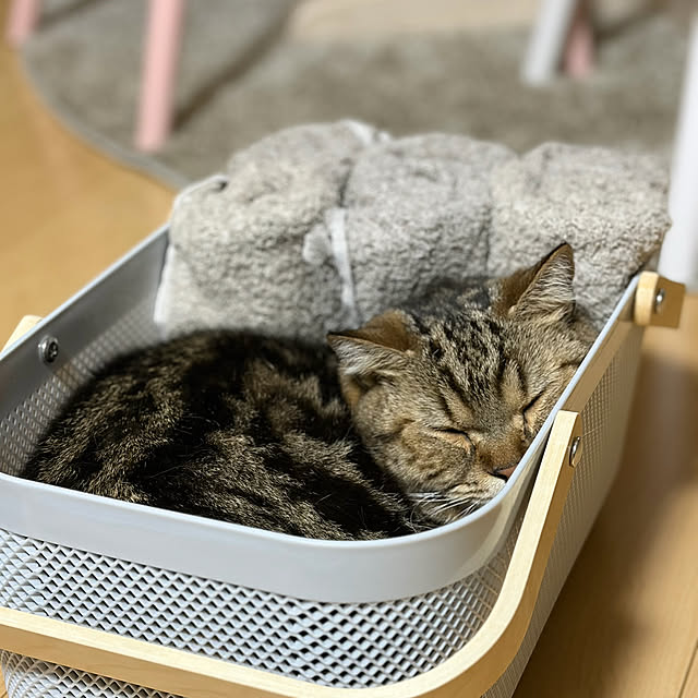 chiiさんのお部屋の写真