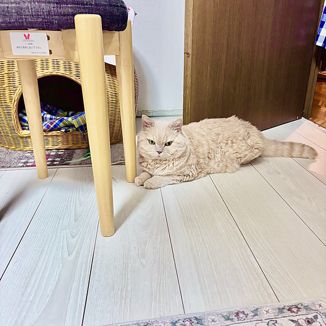 naokoさんの実例写真