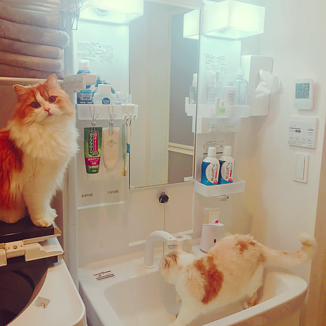 H.Tさんの実例写真