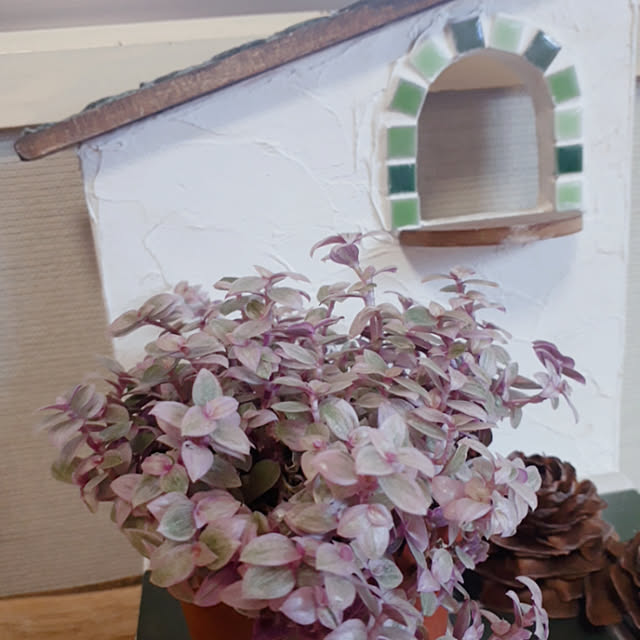 棚/観葉植物/多肉植物/雑貨のインテリア実例 - 2020-03-21 17:05:58