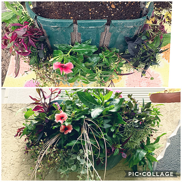 yukarin-gardenさんの実例写真