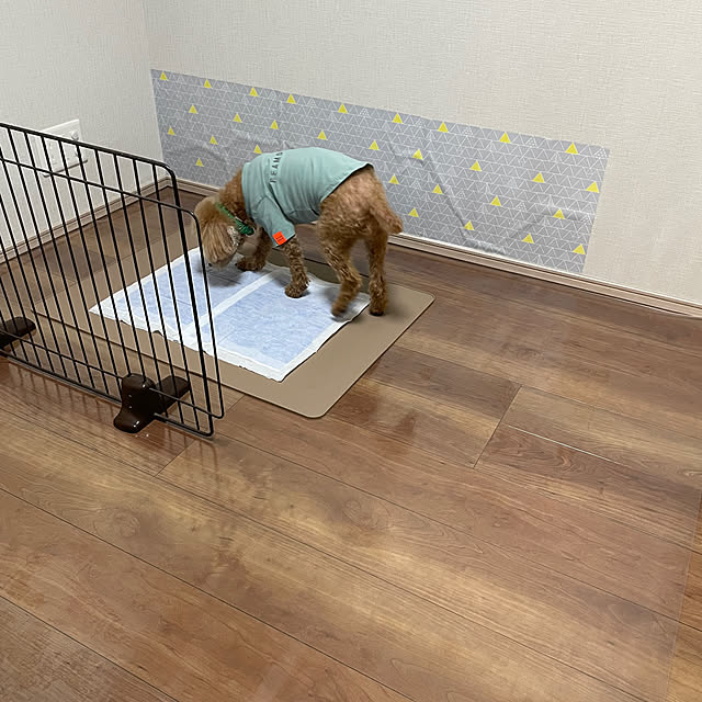ponさんの部屋