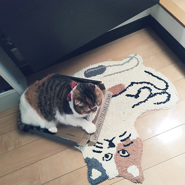 hiro3さんの実例写真