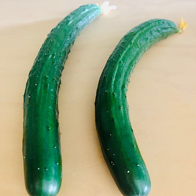 hanachanさんの実例写真