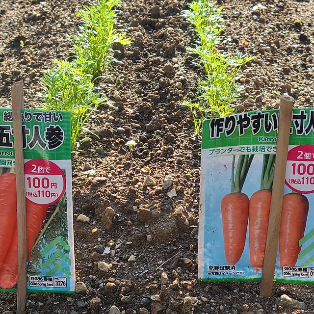 Rubiconさんの部屋