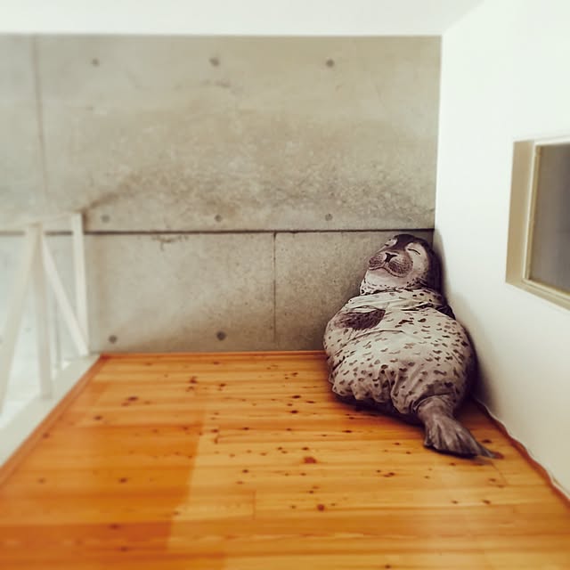Sumireさんの実例写真