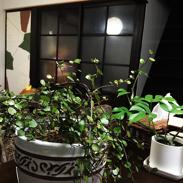 chibiさんの実例写真