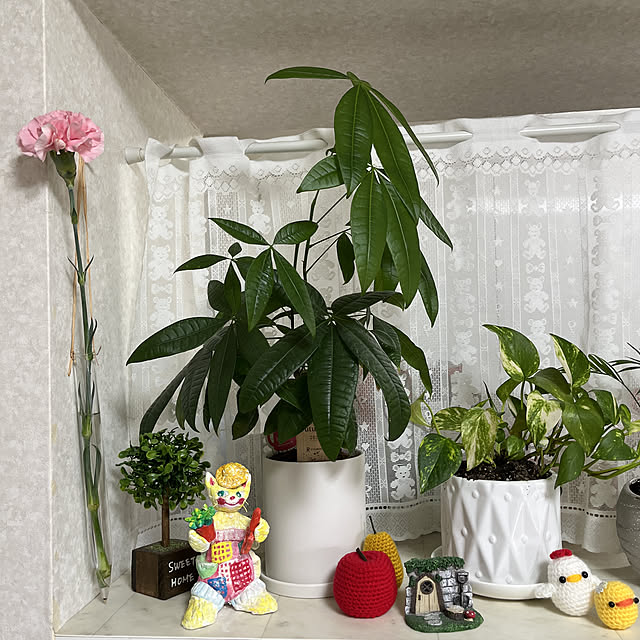Chhhiさんの実例写真