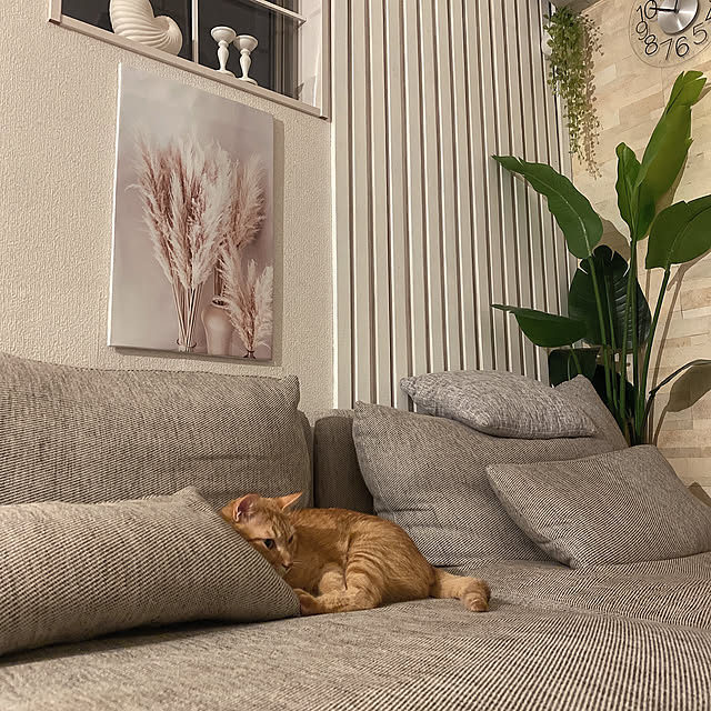 mii_home_39さんの実例写真