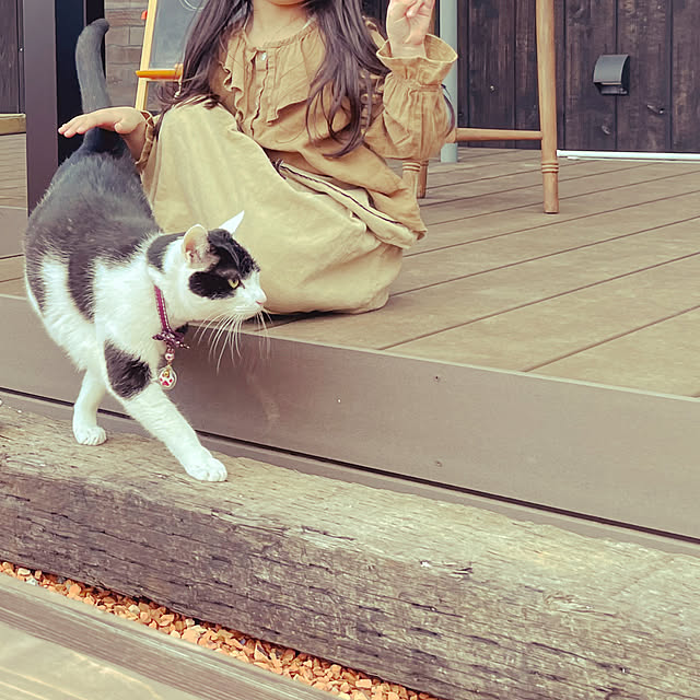 nekosamaさんの部屋